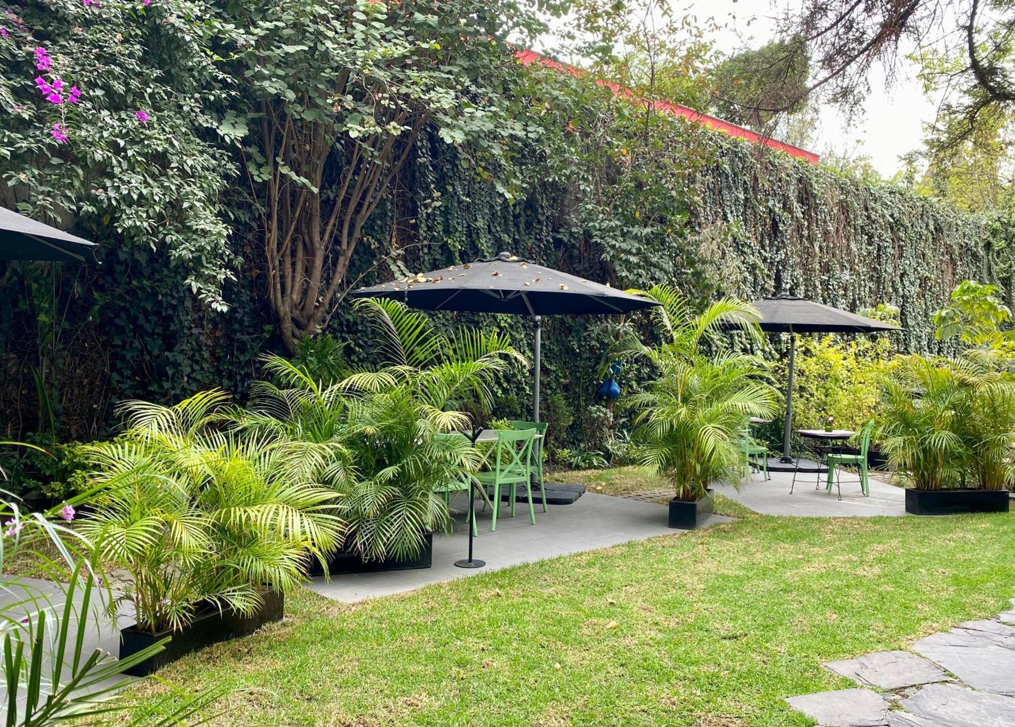 Hotel Pug Seal Polanco Anatole France Meksyk Zewnętrze zdjęcie