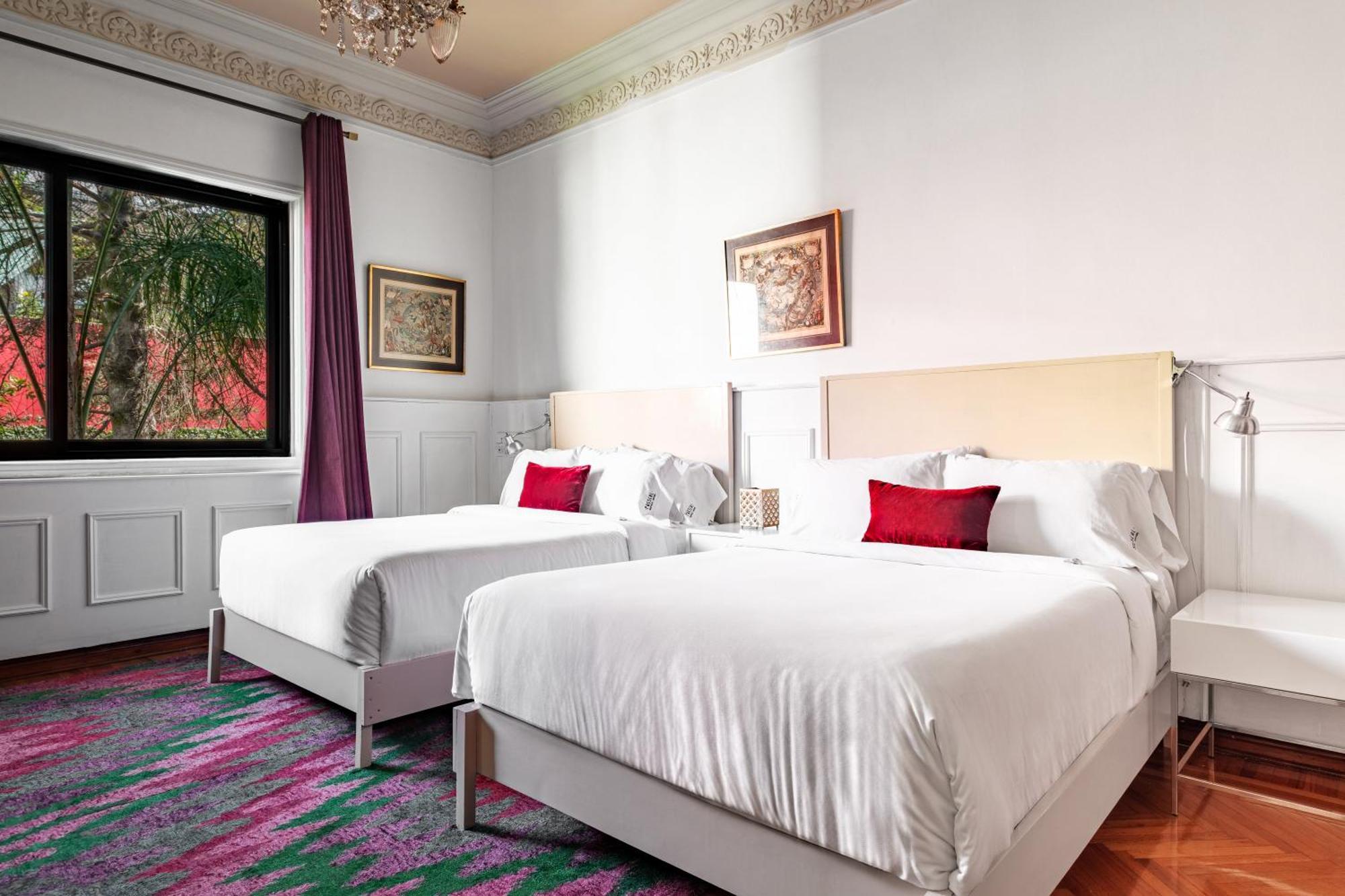 Hotel Pug Seal Polanco Anatole France Meksyk Pokój zdjęcie