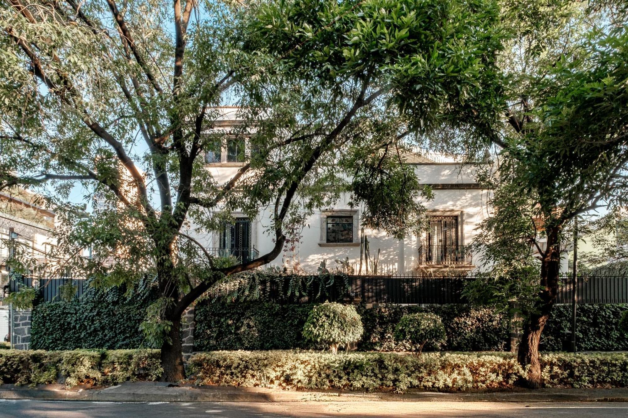 Hotel Pug Seal Polanco Anatole France Meksyk Zewnętrze zdjęcie